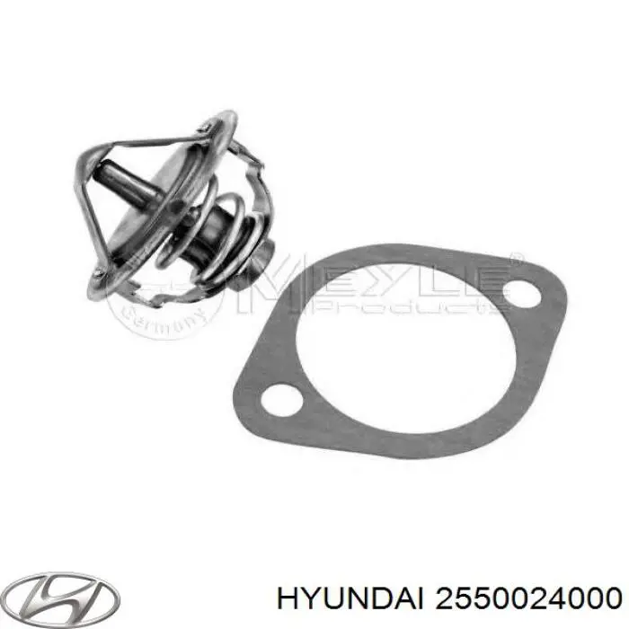 Termostato Hyundai/Kia 2550024000 precio, desde 11,93 EUR