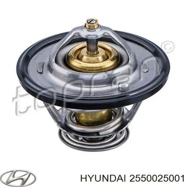 Termostato, refrigerante Hyundai Tucson 1 JM