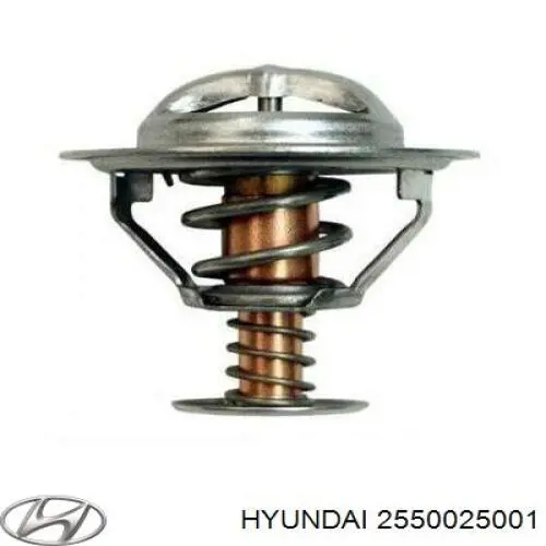 2550025001 Hyundai/Kia termostato