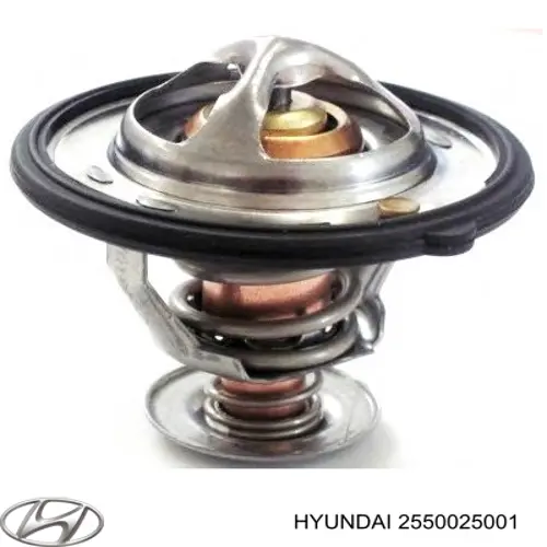 Termostato, refrigerante Hyundai Tucson 1 JM