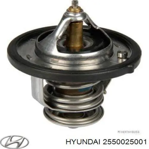 Termostato, refrigerante Hyundai Tucson 1 JM