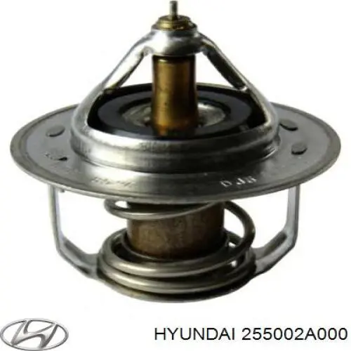255002A000 Hyundai/Kia termostato