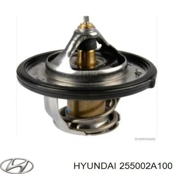 255002A100 Hyundai/Kia termostato