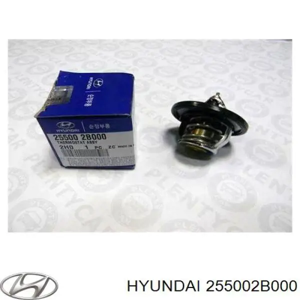 255002B000 Hyundai/Kia termostato