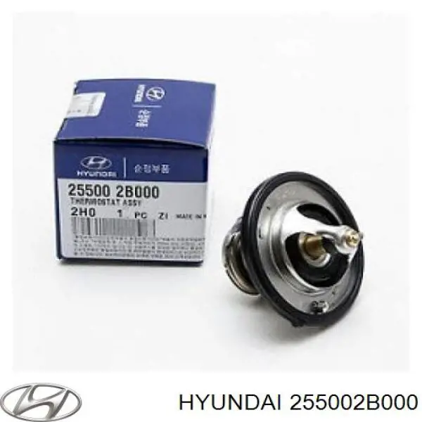 Comprar 255002B000 Hyundai/Kia Termostato