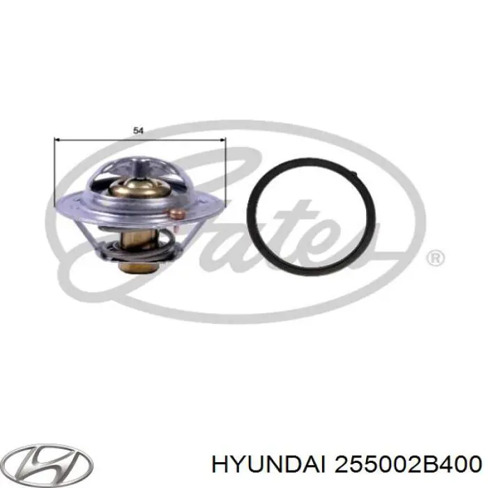 Comprar 255002B400 Hyundai/Kia Termostato