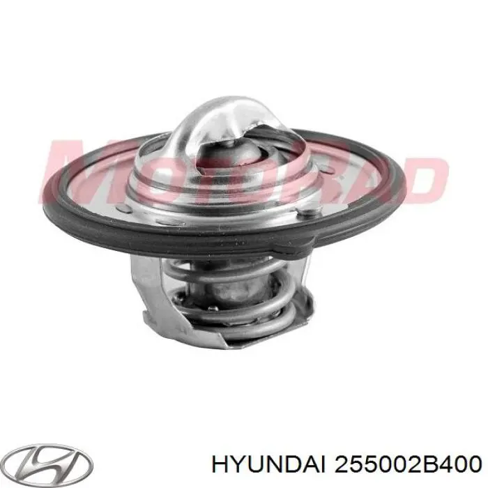 Termostato 255002B400 Hyundai/Kia