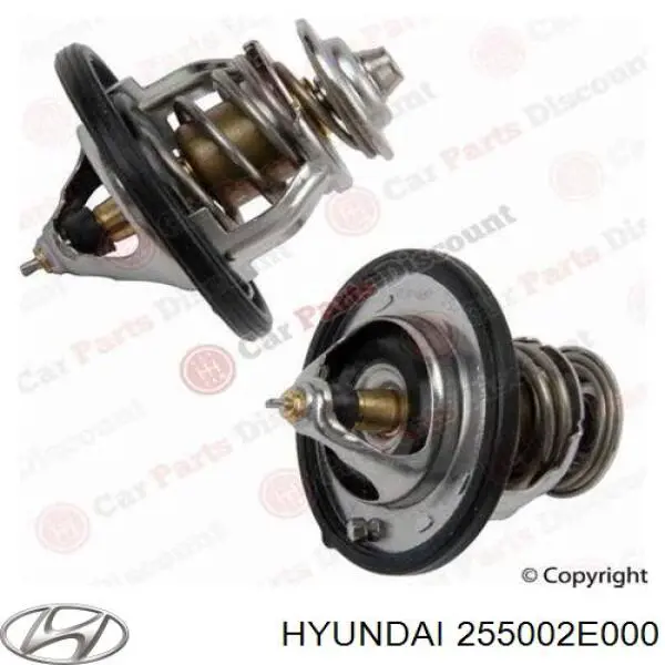 255002E000 Hyundai/Kia termostato, refrigerante