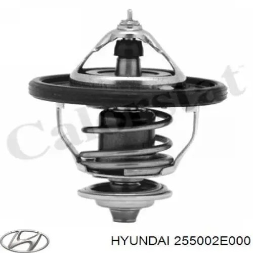 Comprar 255002E000 Hyundai/Kia Termostato