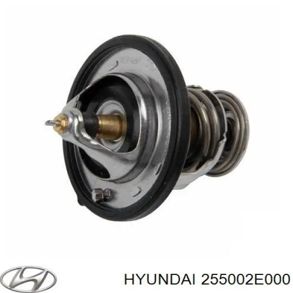 Termostato 255002E000 Hyundai/Kia