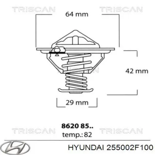 255002F100 Hyundai/Kia