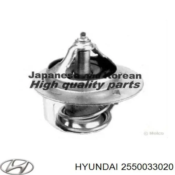2550033020 Hyundai/Kia termostato