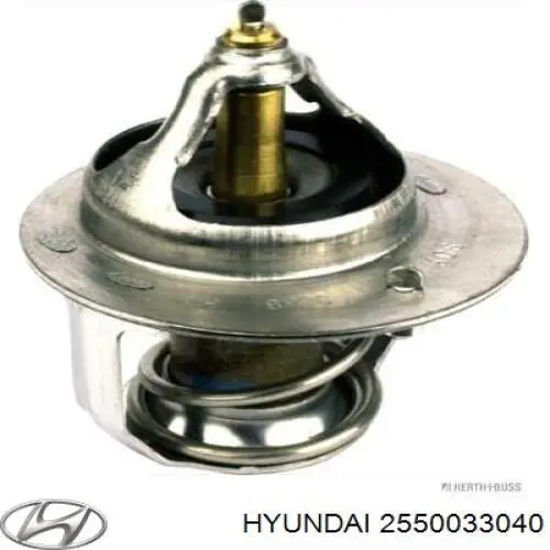 2550033040 Hyundai/Kia termostato