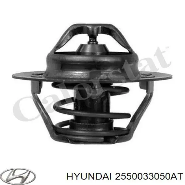 2550033050AT Hyundai/Kia termostato