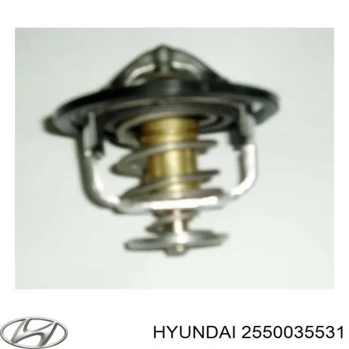 2550035531 Hyundai/Kia termostato
