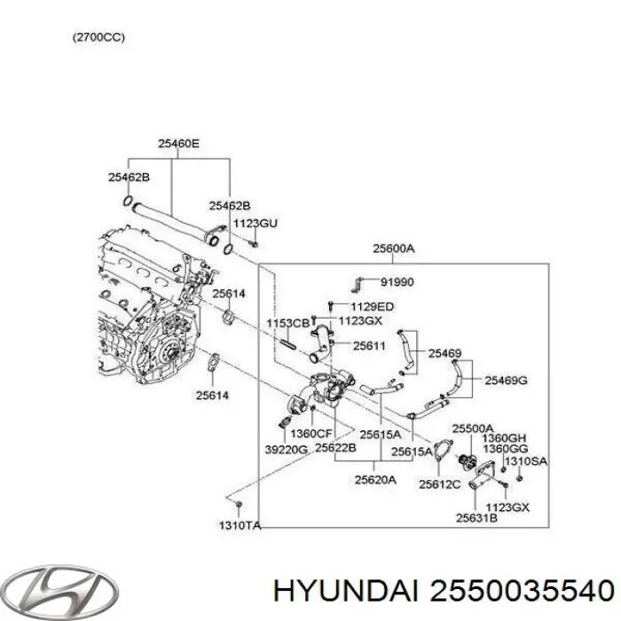 2550035540 Hyundai/Kia termostato