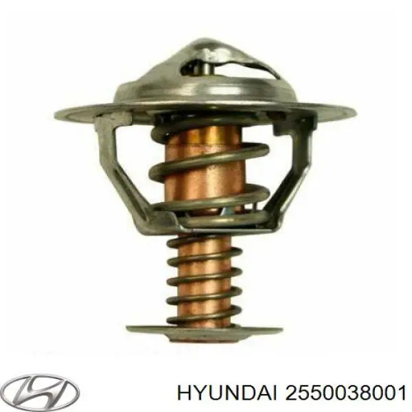 2550038001 Hyundai/Kia termostato