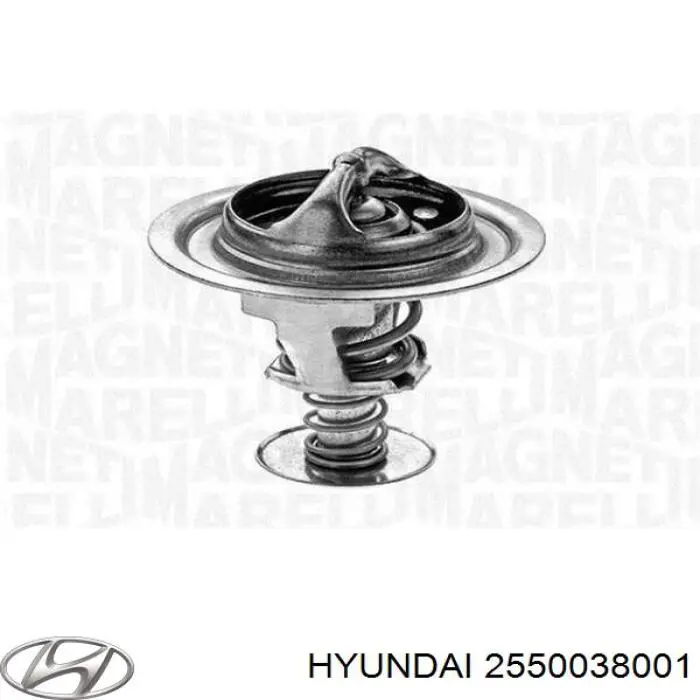 Comprar 2550038001 Hyundai/Kia Termostato