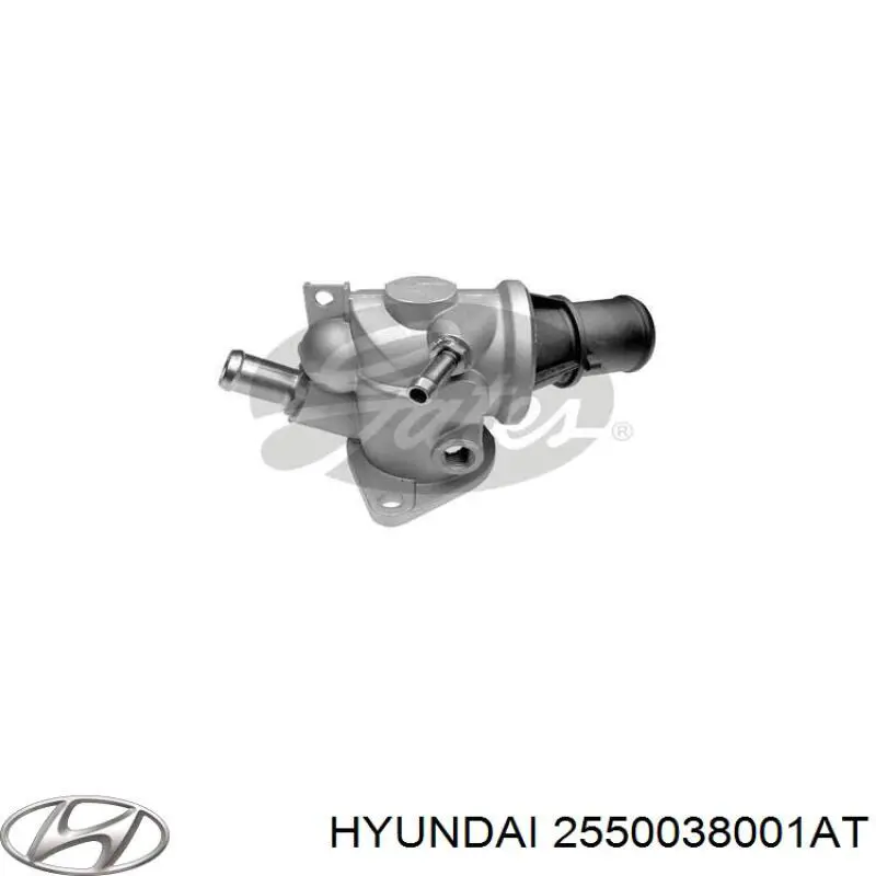 2550038001AT Hyundai/Kia termostato, refrigerante