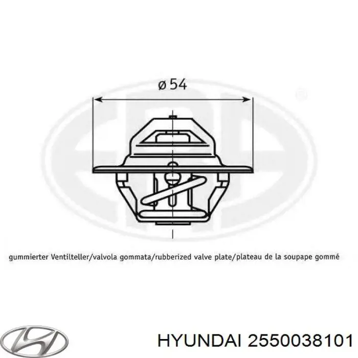 2550038101 Hyundai/Kia termostato
