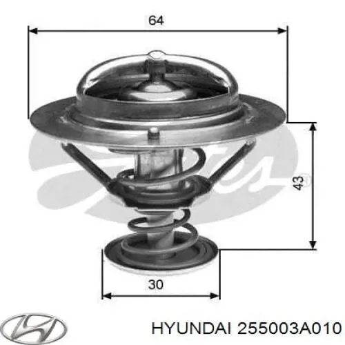 255003A010 Hyundai/Kia