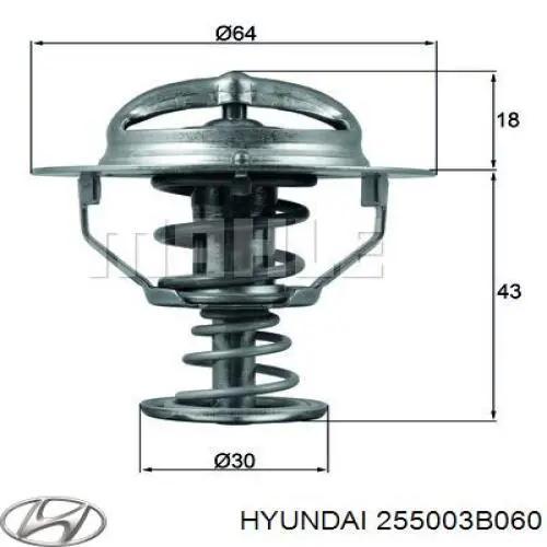 255003B060 Hyundai/Kia termostato