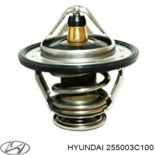 Comprar 255003C100 Hyundai/Kia Termostato