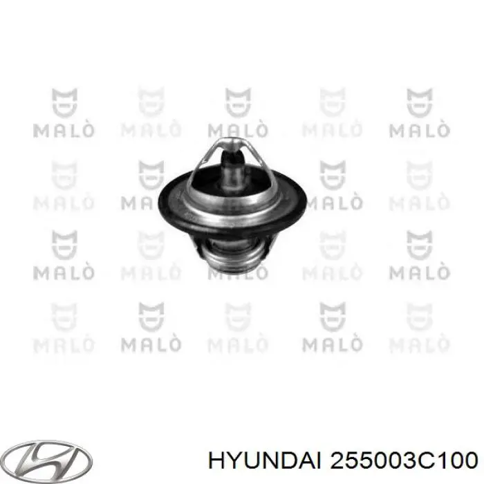 255003C100 Hyundai/Kia termostato