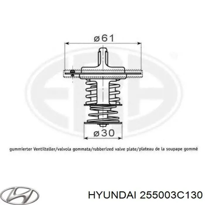 255003C130 Hyundai/Kia termostato