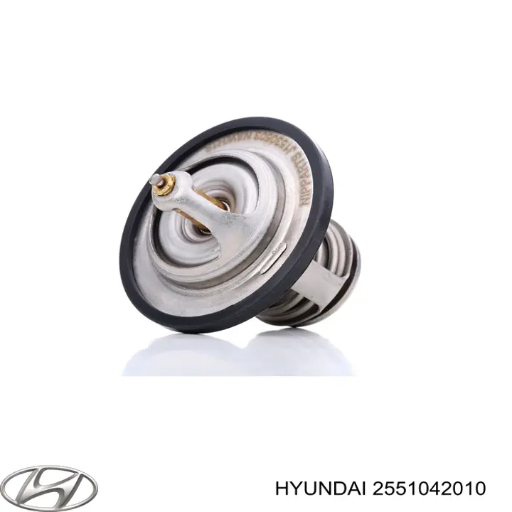 Termostato, refrigerante Hyundai Tucson 1 JM
