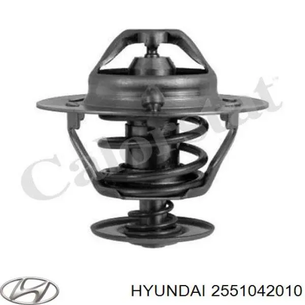 2551042010 Hyundai/Kia termostato