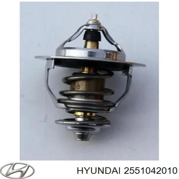 Termostato, refrigerante Hyundai Tucson 1 JM