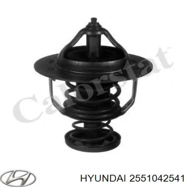 2551042541 Hyundai/Kia termostato