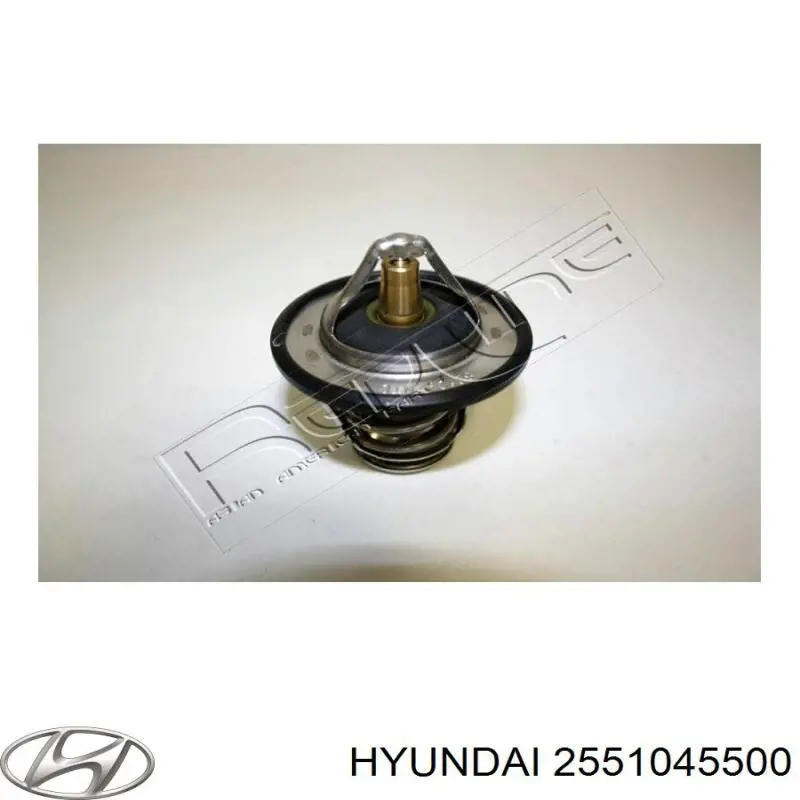 2551045500 Hyundai/Kia termostato