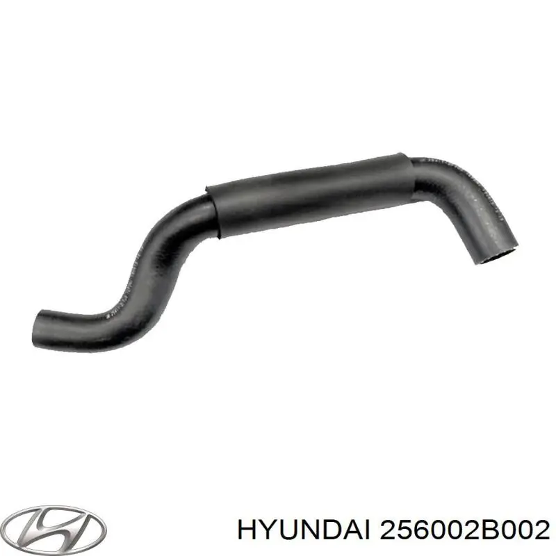 Comprar 256002B002 Hyundai/Kia Caja de termostato