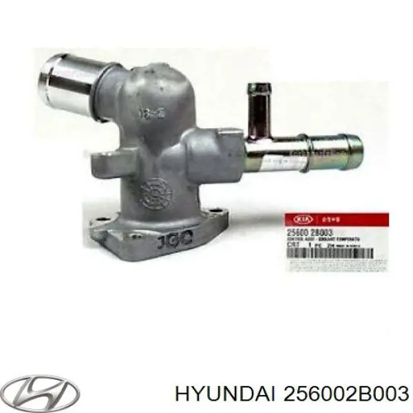 Carcasa del termostato para Hyundai Accent (RB)
