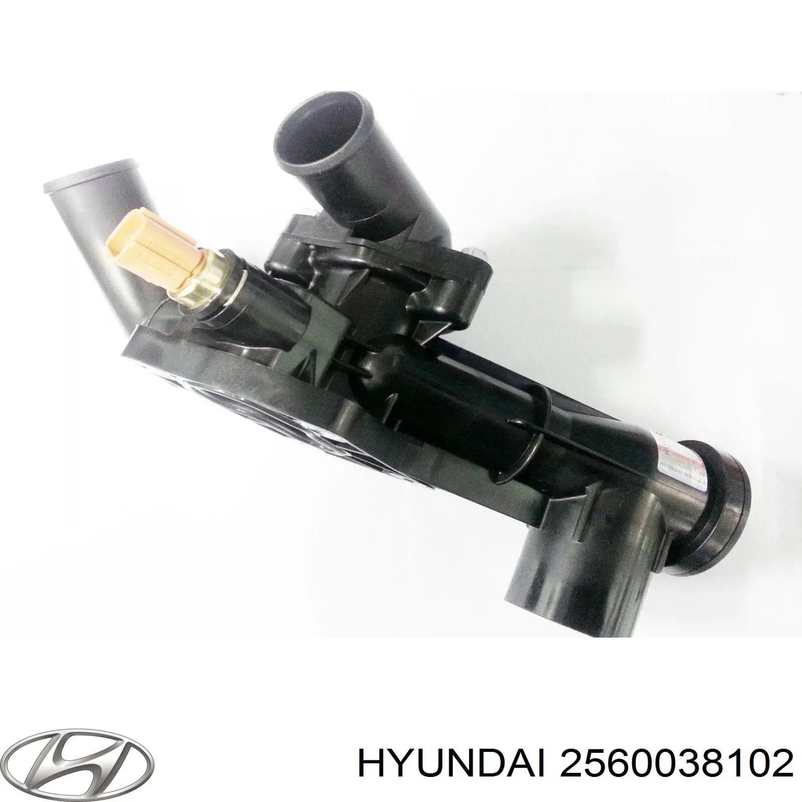 2560038102 Hyundai/Kia