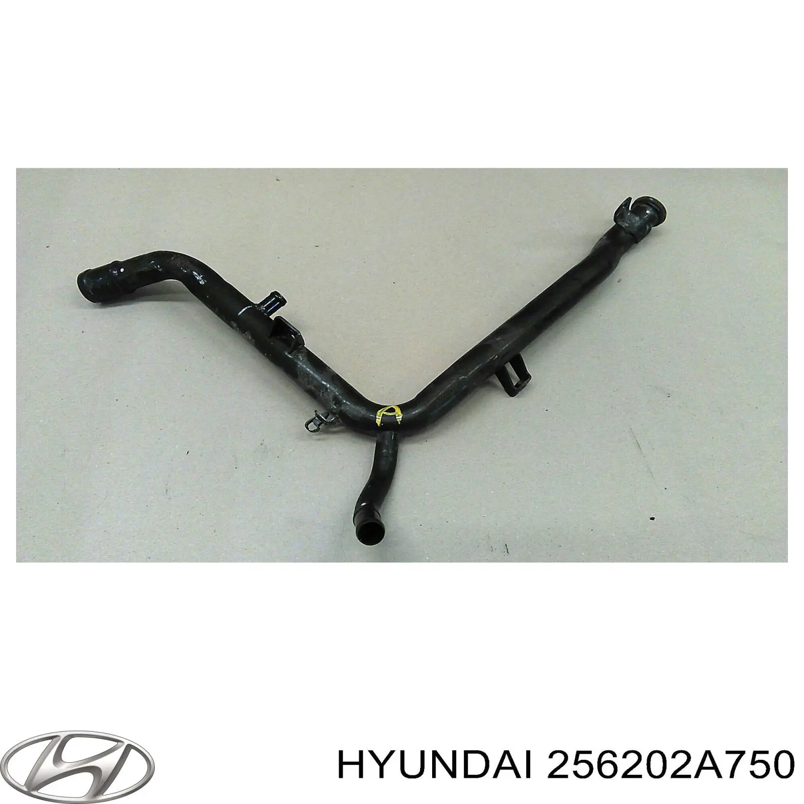 256202A750 Hyundai/Kia