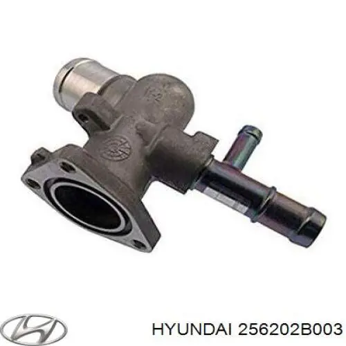 Carcasa del termostato Hyundai/Kia 256202B003 precio, desde 59,72 EUR