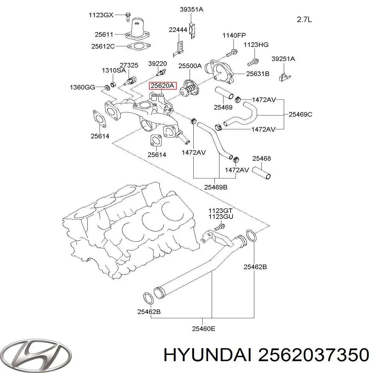 2562037350 Hyundai/Kia caja del termostato