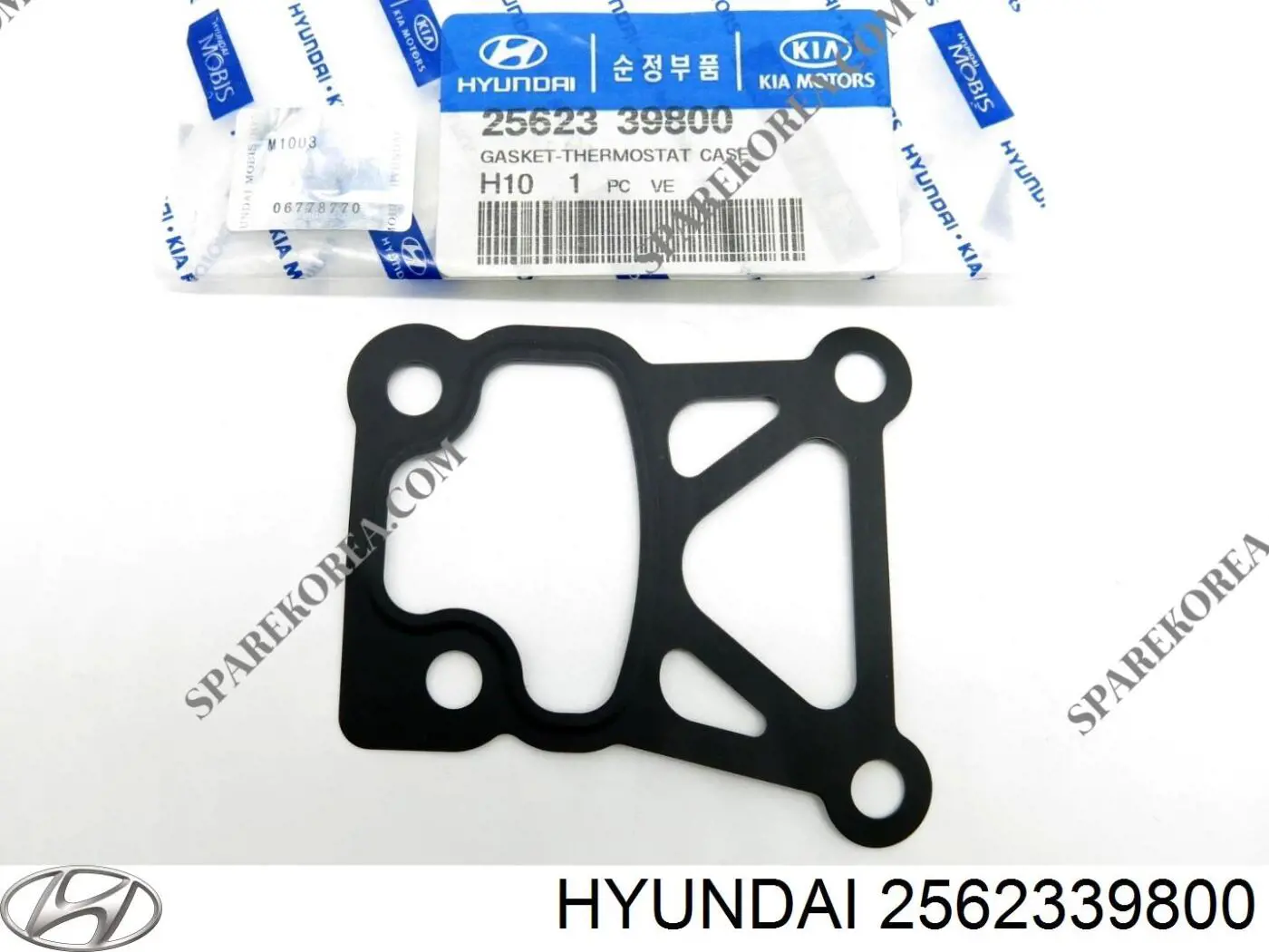 2562339800 Hyundai/Kia