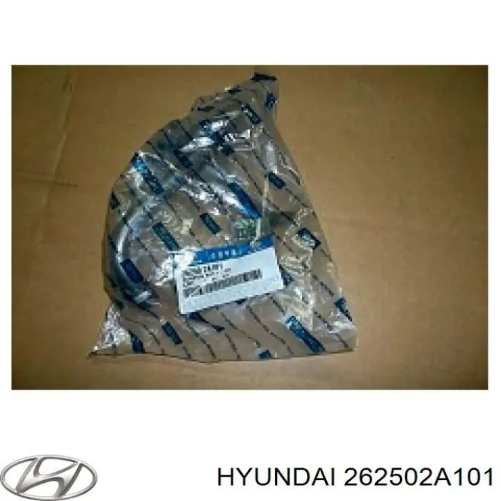 Tubo de aspiracion de bomba de aceite Hyundai/Kia 262502A101 precio, desde 50,82 EUR