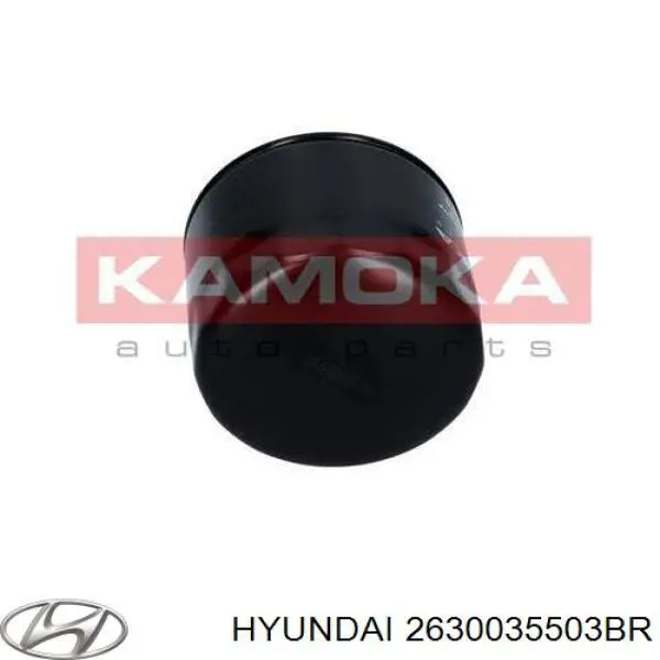 2630035503-BR Hyundai/Kia filtro de aceite