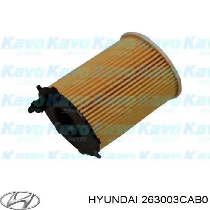 Portafiltro de aceite Hyundai/Kia 263003CAB0 precio, desde 67,57 EUR