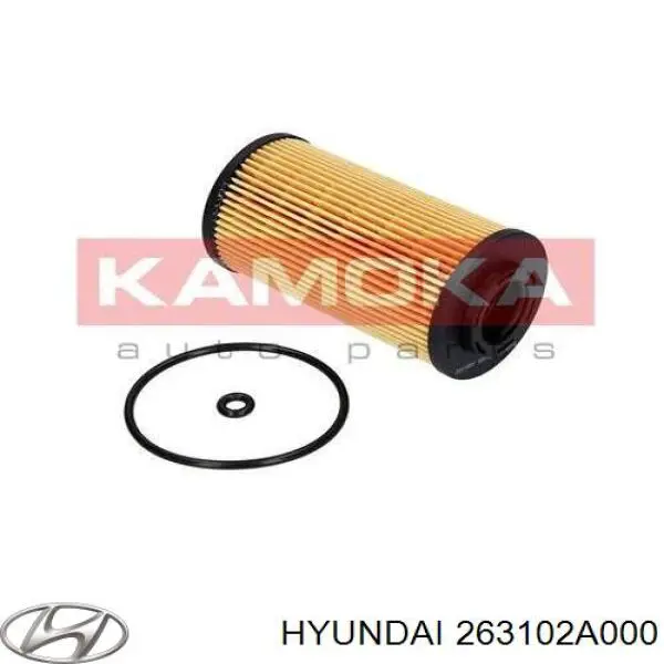 S263102A002 Hyundai/Kia Portafiltro de aceite