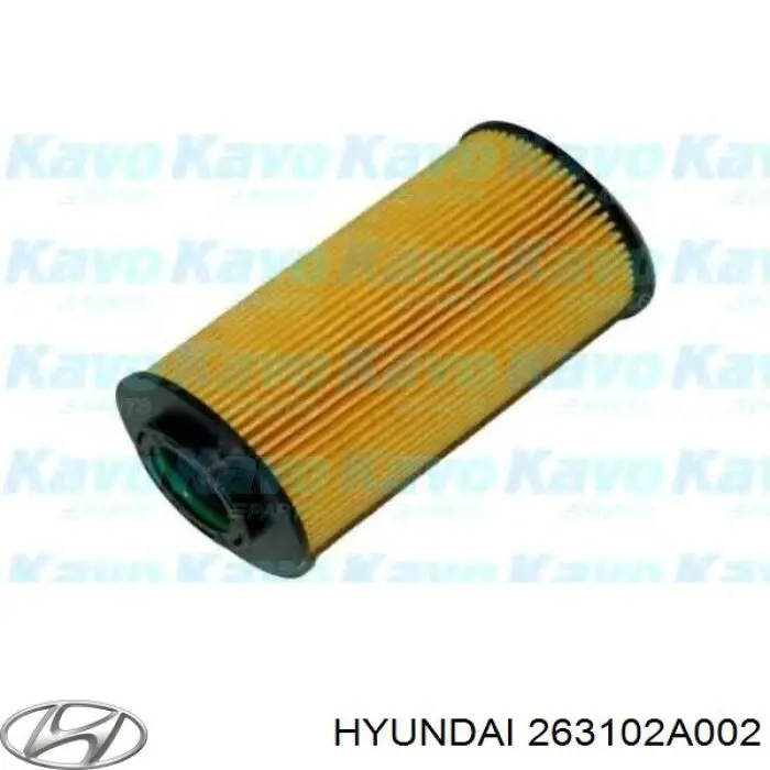 Caja, filtro de aceite Hyundai/Kia 263102A002