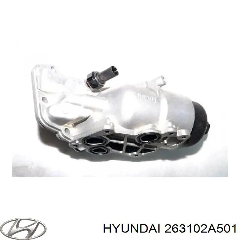 263102A501 Hyundai/Kia Portafiltro de aceite