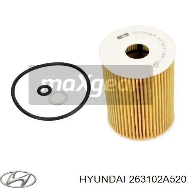 Filtro de aceite Hyundai/Kia 263102A520 precio, desde 7,32 EUR
