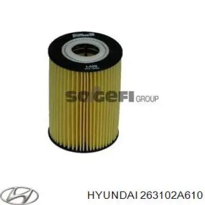 Filtro de aceite Hyundai/Kia 263102A610 precio, desde 7,32 EUR
