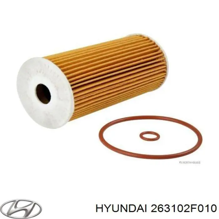 263102F010 Hyundai/Kia